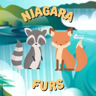 Niagara Furs