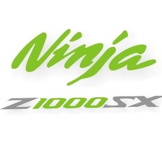 Kawasaki Ninja 1000/1100 SX España