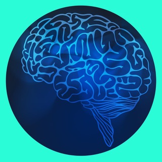 רב הנסתר • דיונים