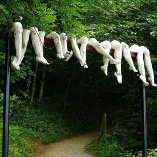 знакомства палёных паркетов