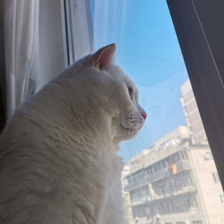 знакомства в Новой Адыгее