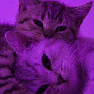 Moscow | Tashkent Znakomstva