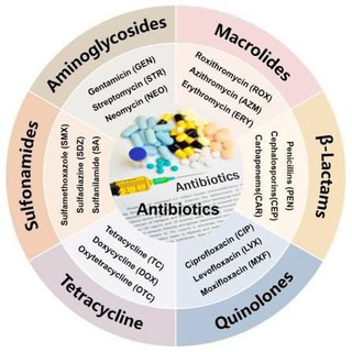 Nursing Zone for FQE Jan|Feb 2026
