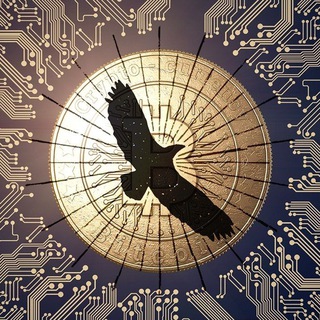 Nusur Al Crypto | نسور الكريبتو 🇸🇦🇪🇬