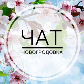Новогродівка / ЧАТ🇺🇦