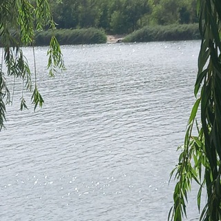 Общение и знакомства. Юмор, развлечения 18+ Каменский и Мясниковский район