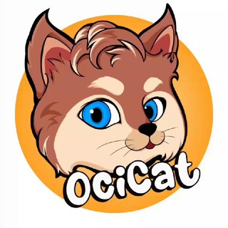 OCICAT COIN (Chat )