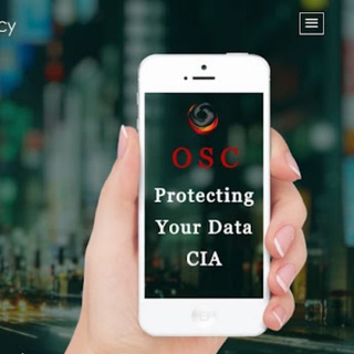 Offensive Security & Consultancy (OSC)