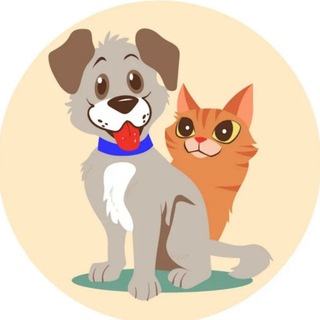 Собаки и кошки Очаково-Матвеевское🐕🐈 Chat