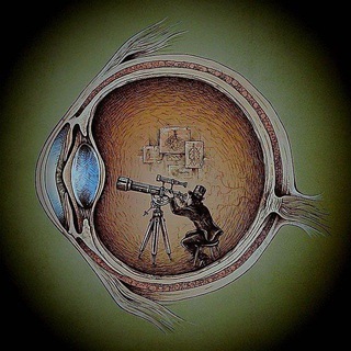 مناقشة قناة قسم فحص البصر - بصريات