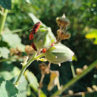 знакомства острог😉