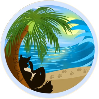 Palm Beach County Furs