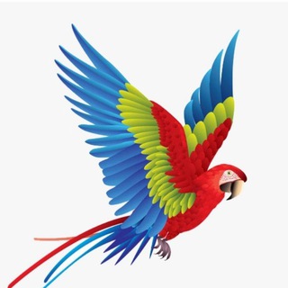 Singapore Parrots Sharing Group