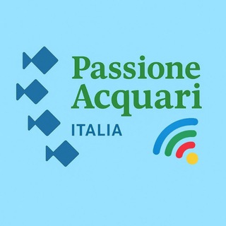 Passione Acquari Italia 🐠