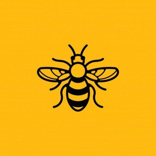 Карника/Бакфаст матки F1