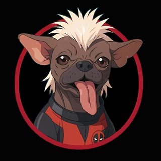 Peggy The DeadPool Dog Coin