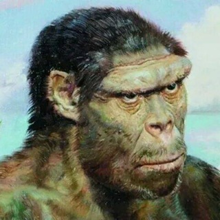 Чат PePeCeкантропов и аналитикопитеков