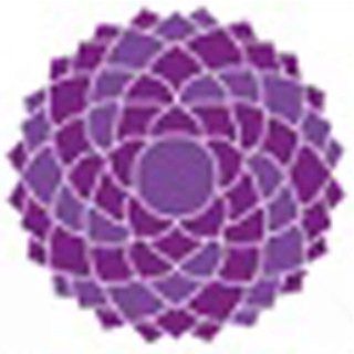 Перспектива Chat