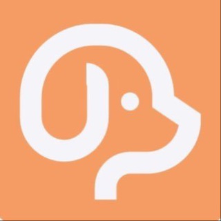 PetZ Money Global 🚀