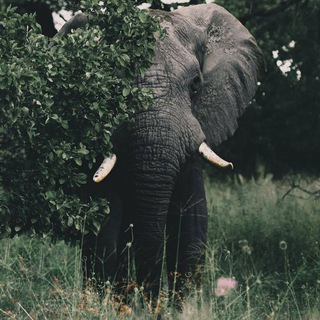 📣Общение и пиар📢