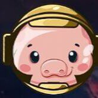 Pig Token中文社区交流群