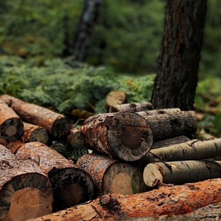 Пиломатериалы оптом - Россия