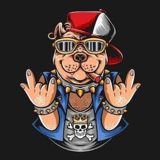 𝙋𝙄𝙏𝙏 𝘽𝙐𝙇𝙇 𝙁𝙄𝙂𝙃𝙏