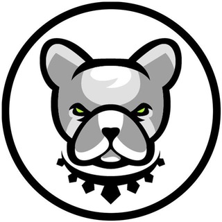 Pitbull Token Official