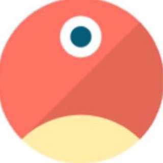 pNetwork 🦜 | Support