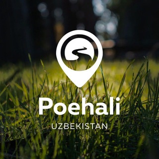 Зимние туры Ташкент