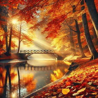 Беседа Ищу подругу друга