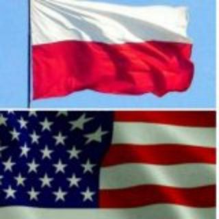 POLSHA RAQAMLAR CHAT