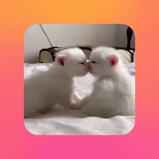 Группа для знакомства 💏