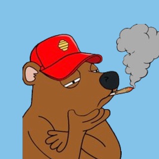 POT 🐻⛓️