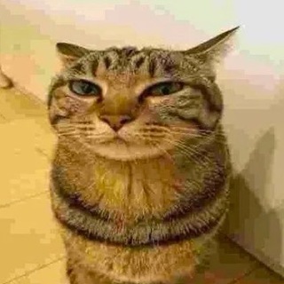 Chat Инвесторов 💰