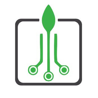 Programmer Semarang Raya