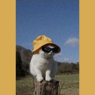 ЧАТ Тут можно искать новые знакомства 🌚