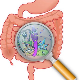 DESPARASITACIÓN PROTOCOLO P KALCKER