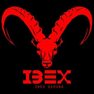 iBex Gaming: Chat