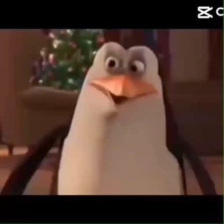 Казик, знакомства, расслабон