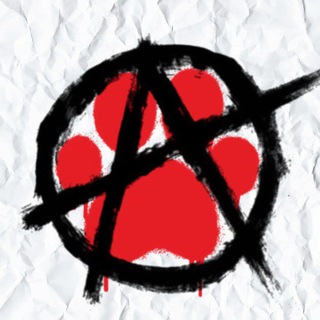 ❤️‍🔥Punk Furs New England❤️‍🔥 (18+)