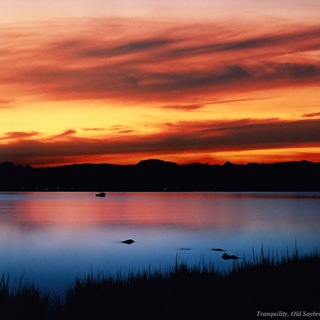 Знакомства Сургут Алиса