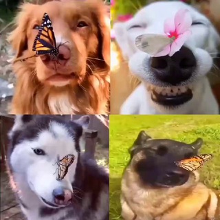 Общение/знакомства/Отчимы🥺🥺🥺