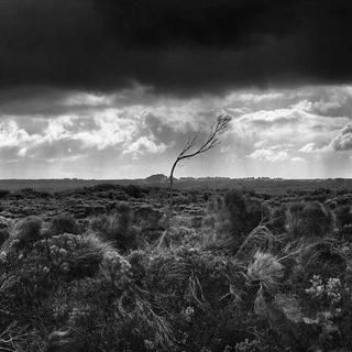 ᖇᗩIᑎ ᑭᖇOᗰOTᗴ