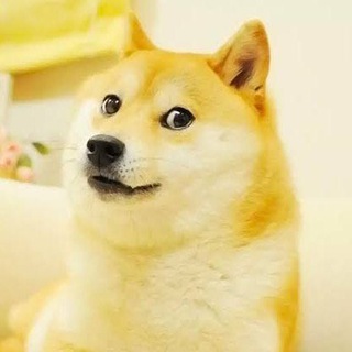 🤑REFERANS VE YARDIMLAŞMA GRUBU✋