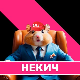 Некич chat