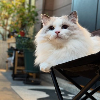 Let’s talk about crypto trading