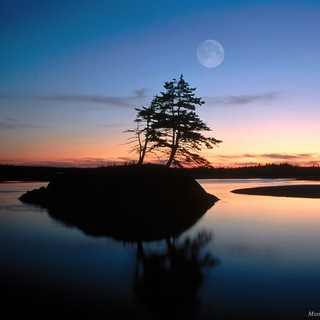 Знакомства Псков