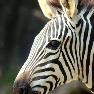 Новости из группы знакомства Кемерово