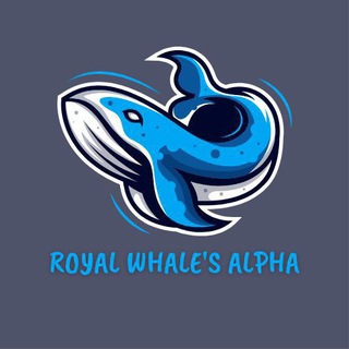 Royal Whale's Alpha